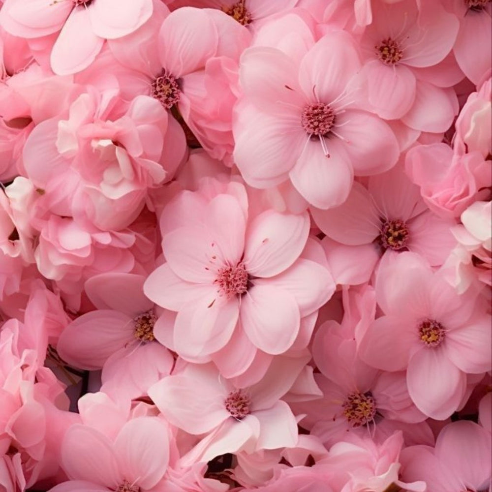 crop-1789151140559.jpg