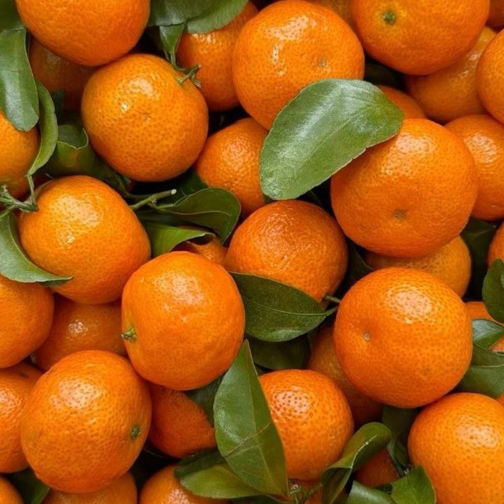 crop-1789151158211.jpg