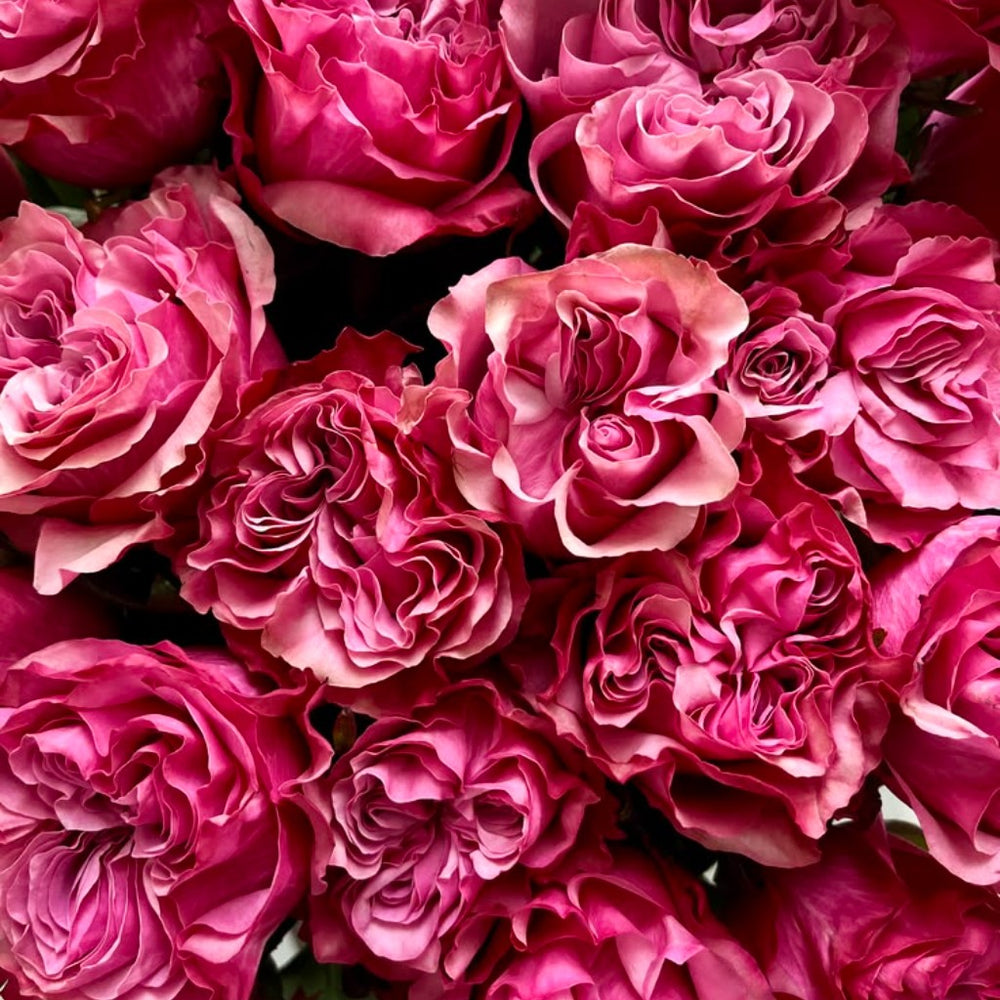 crop-1789151803649.jpg